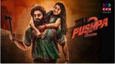 Allu Arjun's 'Pushpa 2: The Rule' Creates History at the Box Office, Awaiting OTT Release