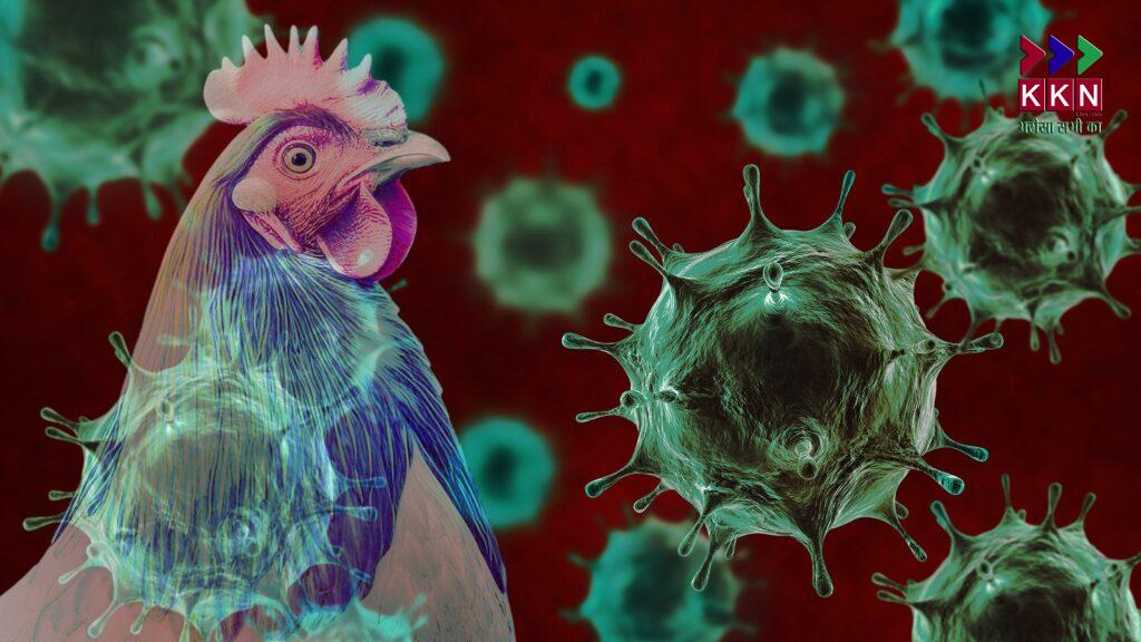 Bird Flu (H5N1) Outbreak in Ranchi: Precautions and Measures Taken by Health Authorities