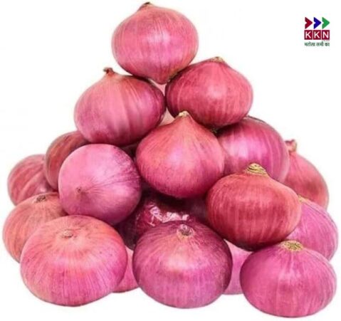 Onion Prices Soar in Muzaffarpur Amid Holi and Ramadan: A Closer Look at the Rising Cost of Essential Commodity