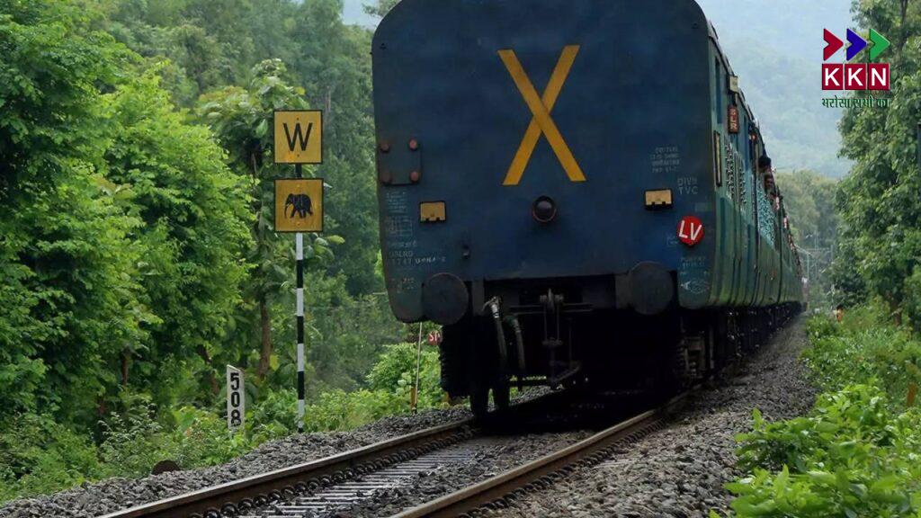 Train Routes Diverted in Muzaffarpur Due to Infrastructure Work: Updates on Major Trains Including Vaishali and Amrapali Express