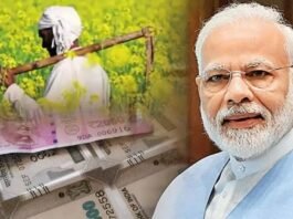 PM Kisan 20th Installment: Over 10 Crore Farmers Await the Payment