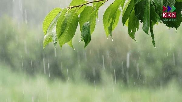 Bihar Weather Alert: IMD Issues Heavy Rainfall Warning for 7 Districts,