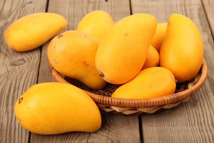 Patna to Host Two-Day Mango Festival with Exciting Competitions