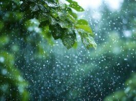Bihar Weather Forecast: Significant Weather Changes Expected Across the State