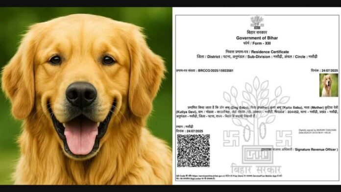 Bihar Administrative Lapse: Patna Official Suspended After ‘Dog Babu’ Housing Certificate Sparks Outrage