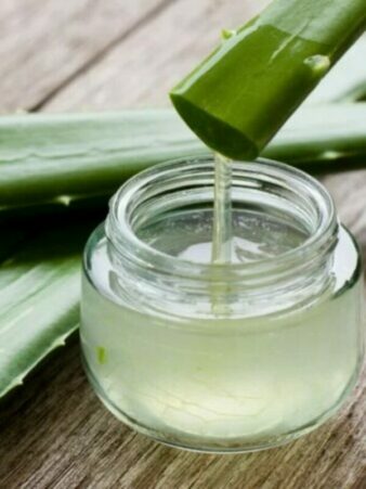 The Many Benefits of Aloe Vera