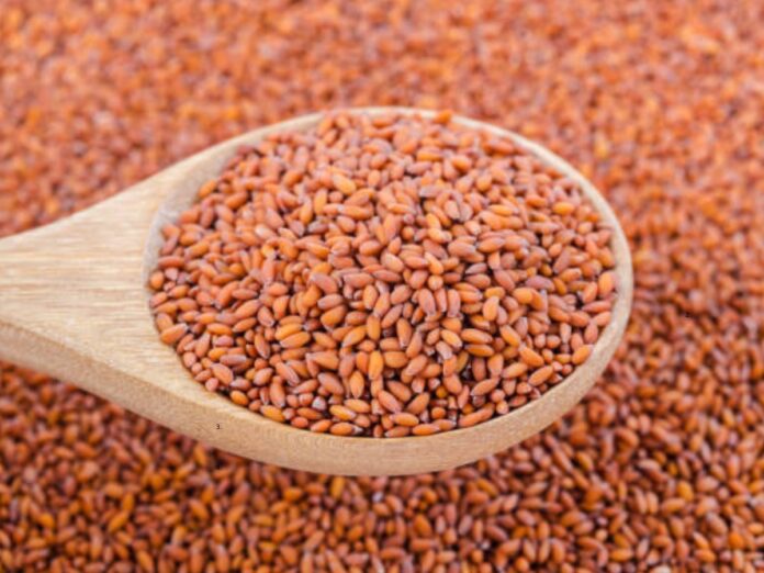 Halim Seeds: A Tiny Superfood for Boosting Health and Wellness