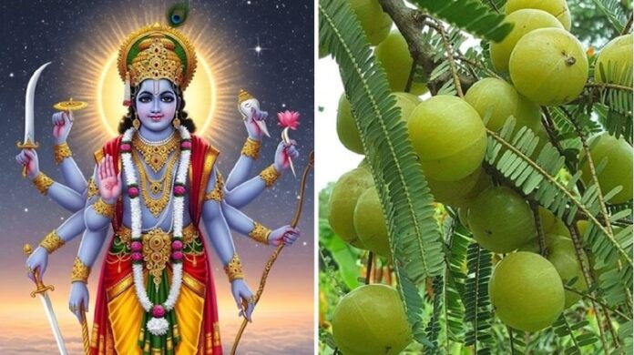 Amla Navami, know the importance and benefits of this fast