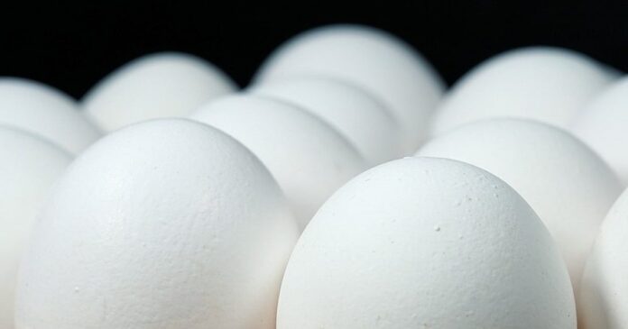 Munger Headmaster Suspended After Allegedly Giving Eggs to Students for Photos