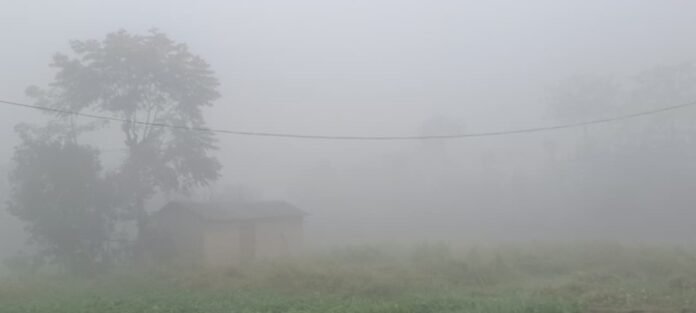 Bihar Weather Update: Severe Cold Tightens Grip Across the State