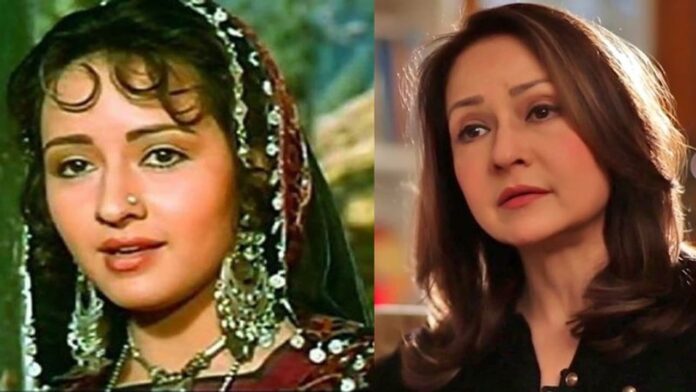 Henna Actress Zeba Bakhtiar: Film Fame and a Little-Known Personal Journey